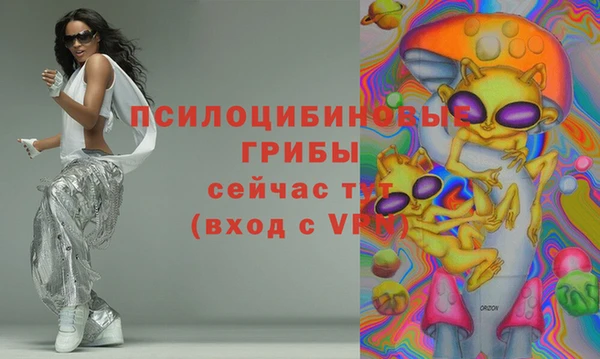 шишки Снежногорск