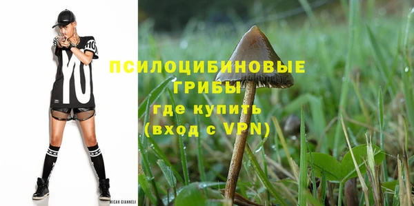 ПСИЛОЦИБИНОВЫЕ ГРИБЫ Верхний Тагил