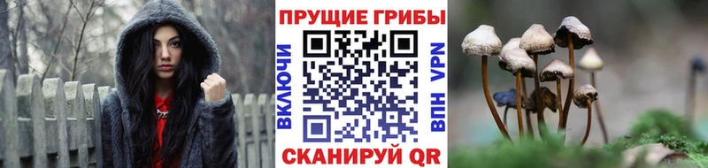 маркетплейс состав  Мариинск  Галлюциногенные грибы мухоморы 